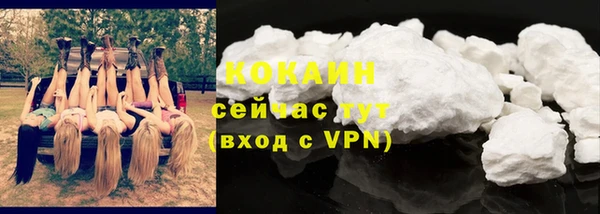 шишки Арсеньев