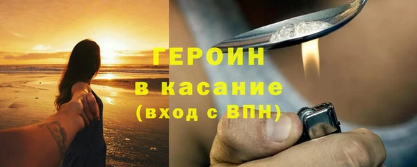 шишки Арсеньев