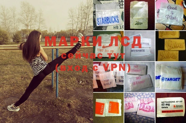 шишки Арсеньев