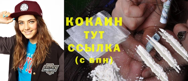 шишки Арсеньев