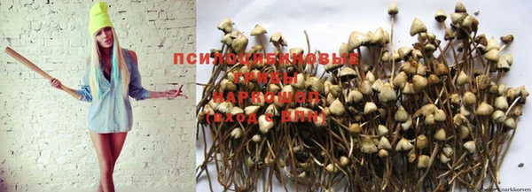 мет Армянск