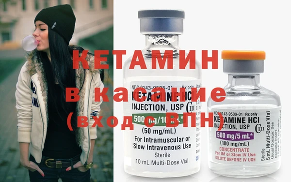 шишки Арсеньев