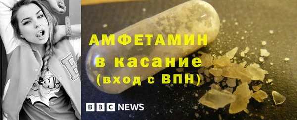 шишки Арсеньев