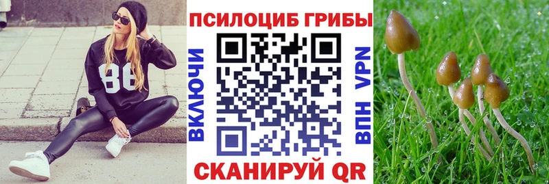 наркошоп  Солигалич  ссылка на мегу сайт  Галлюциногенные грибы Cubensis 