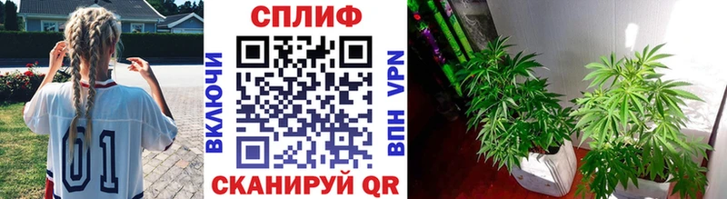 Бошки Шишки гибрид  наркошоп  Солигалич 